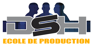 logo DSH école de production